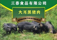 黑猪肉贵的原因有哪些